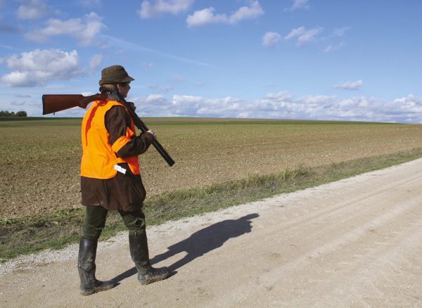 Formation décennale – Sécurité à la chasse