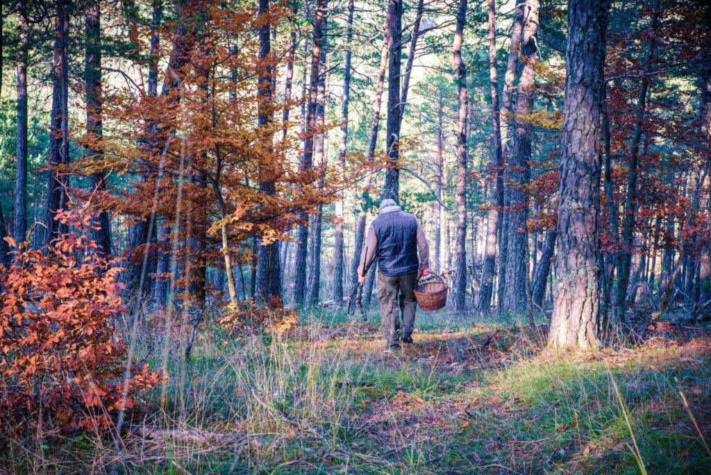 Promeneurs, chasseurs, cueilleurs, photographes, vététistes... la nature de l'Oise ensemble